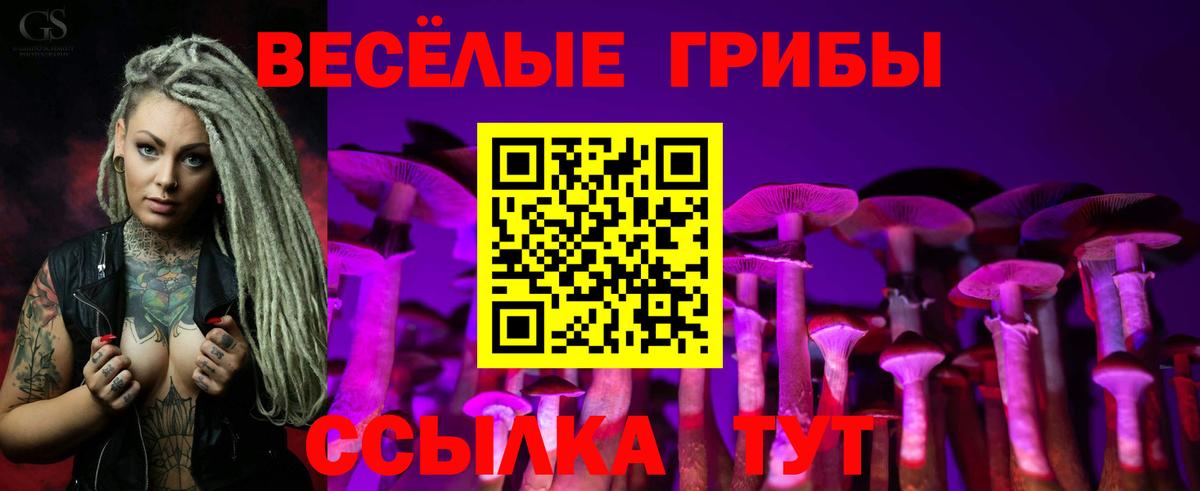Псилоцибиновые грибы прущие грибы Краснокаменск